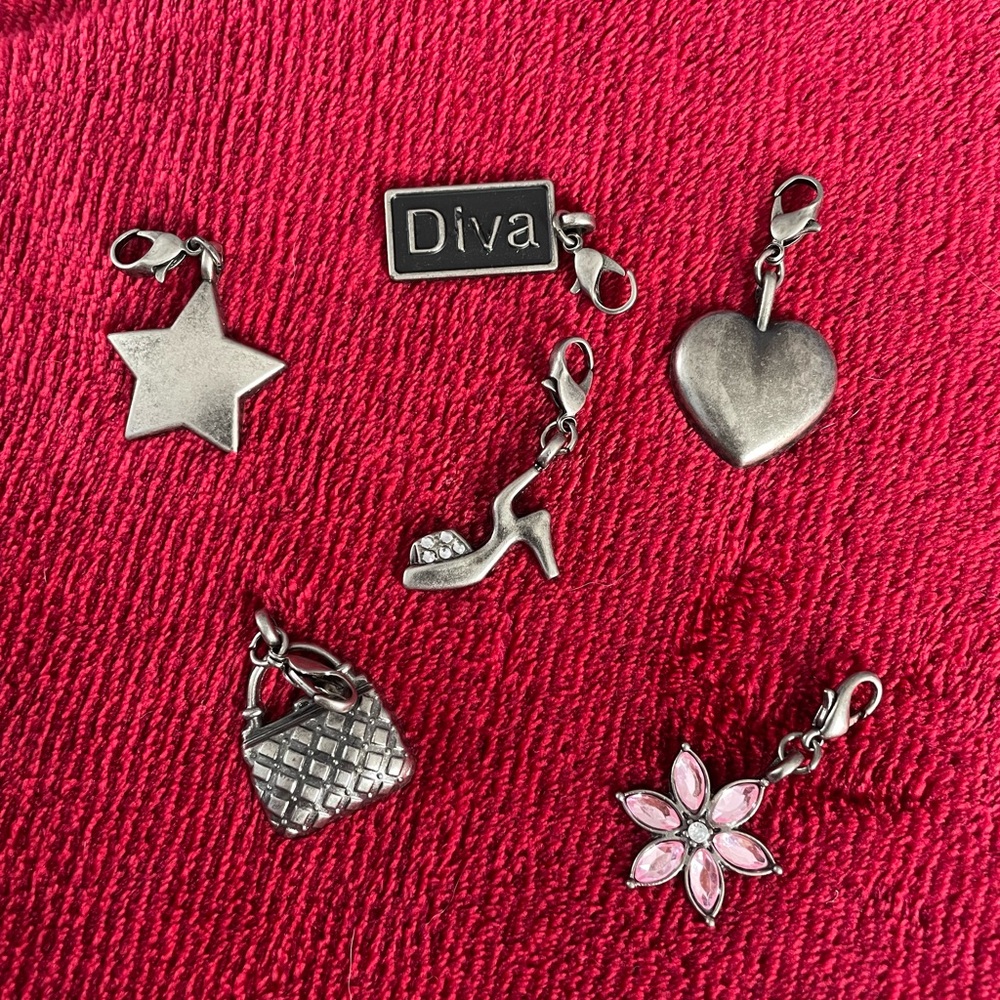 Silver Charm Set with Pink Accents - Picture 1 of 3